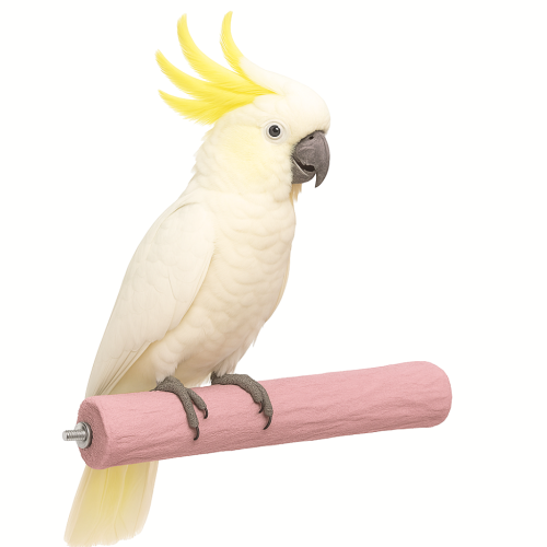 Ornitalia Minerál Velký 6 cm – pro všechny papoušky od ParrotPlanet.cz