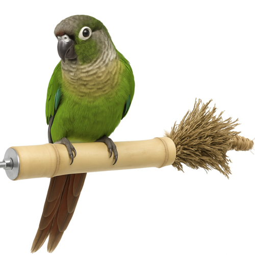 Premium Parrot Food | Makadamové ořechy ve skořápce | Zdravé pamlsky pro všechny papoušky 100 g od ParrotPlanet.cz