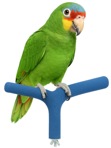 Dvojitá terapeutická pískovaná tyč M – pro střední papoušky od ParrotPlanet.cz