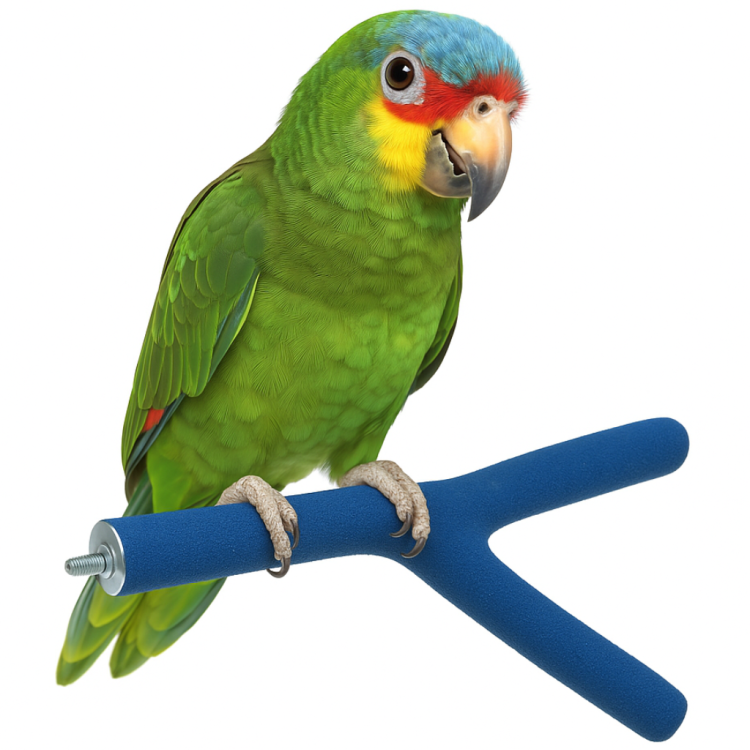 Dvojitá terapeutická pískovaná tyč M – pro střední papoušky od ParrotPlanet.cz