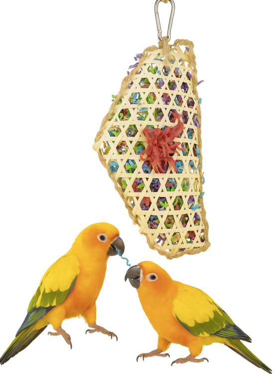 Premium Parrot Food - Ekologické ořechy Laskowe - pro všechny papoušky 100 g od ParrotPlanet.cz