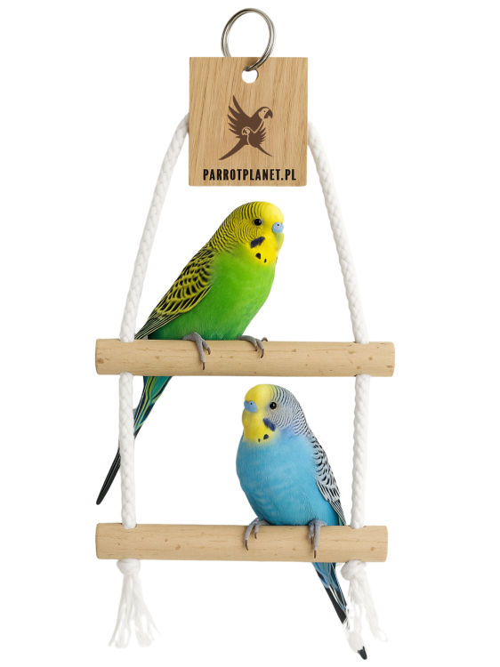 Parrot Planet Prirozene – březová dvojitá houpačka pro malé papoušky od Parrotplanet.cz