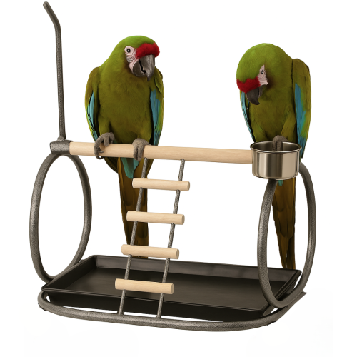 Hřiště pro střední a velké papoušky | tmavé od ParrotPlanet.cz