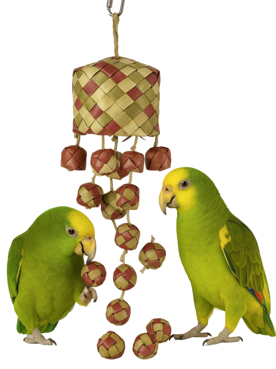 Happy Box  - hračka pro všechny papoušky od ParrotPlanet.cz