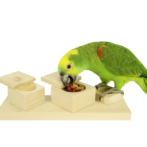 Trénink  - hračka pro všechny papoušky  od ParrotPlanet.cz