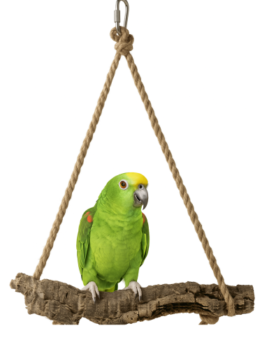 Přírodní houpačka z kůry korkového dubu XXL | pro střední a velké papoušky | korek pro papoušky od ParrotPlanet.cz