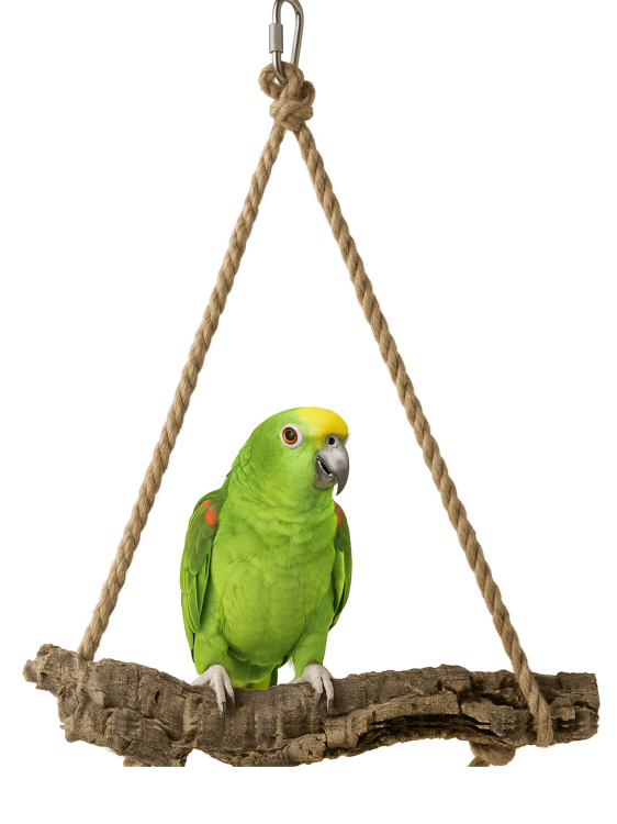 Přírodní houpačka z kůry korkového dubu XXL | pro střední a velké papoušky | korek pro papoušky od ParrotPlanet.cz