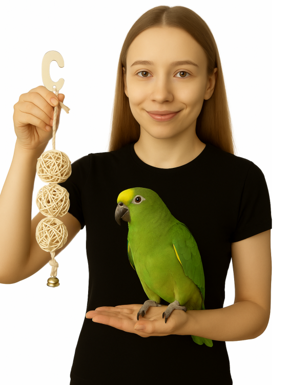 Veselé kuličky – pro malé a střední papoušky od ParrotPlanet.cz