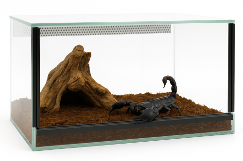 Terárium 30x30x20 cm – Pro pozemní pavouky | Škorpióny | Velké šneky | Kolonie mravenců | Sklo 4 mm, Gilotina, Ventilace nahoře–dole od ParrotPlanet.cz