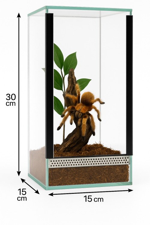 15x15x30 cm – pro pozemní pavouky | štíry | pozemní kudlanky | suchozemské šneky | sklo 4 mm, gilotina, ventilace nahoře–dole od ParrotPlanet.cz