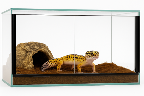 Terárium 60x40x40 cm – pro gekony, hady, agamy a želvy | Posuvné dveře, ventilace nahoře–dole, sklo 4 mm od ParrotPlanet.cz