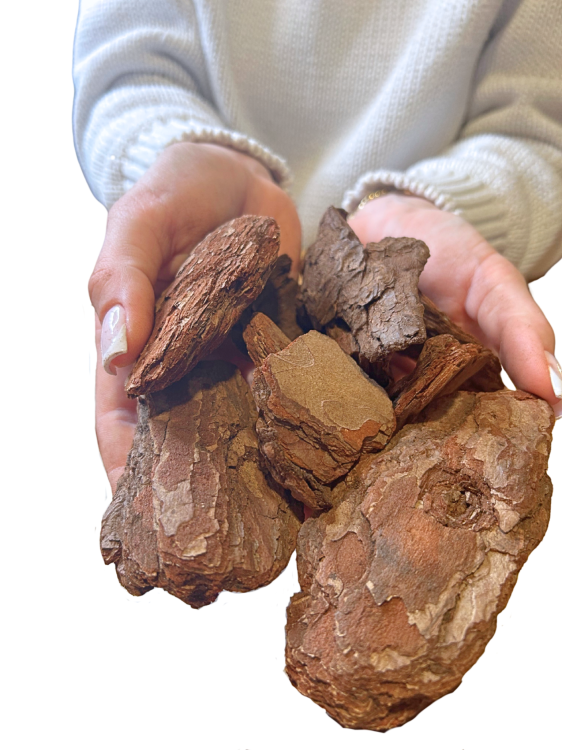 Přírodní kůra, velikost L- 5 L – univerzální dekorace a úkryt do terária pro plazy a obojživelníky od ParrotPlanet.cz