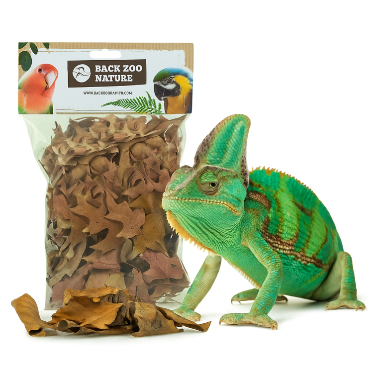 Zlatý podzim – přírodní listy do terária pro plazy 35–50 g | Dekorace, úkryty, vrstva podestýlky od ParrotPlanet.cz