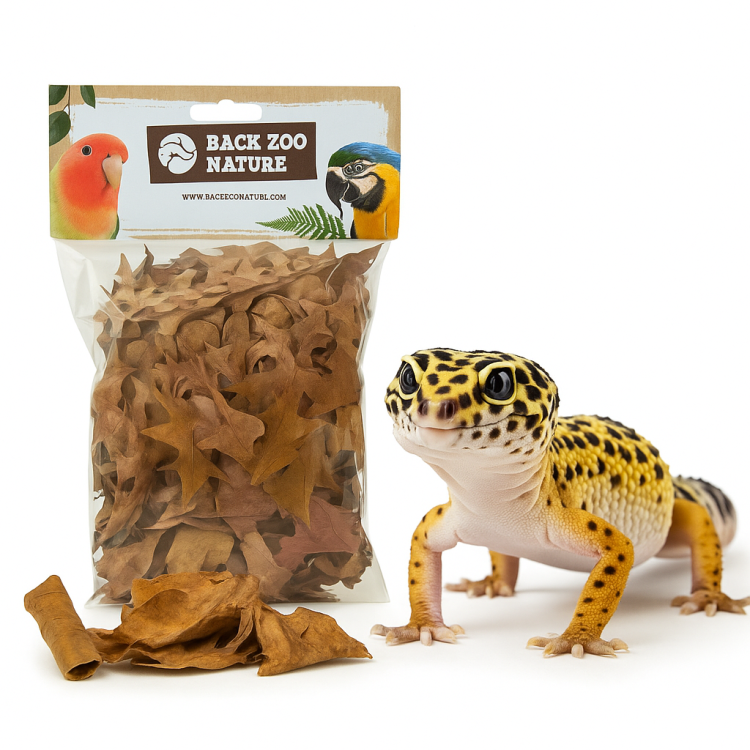 Zlatý podzim – přírodní listy do terária pro plazy 35–50 g | Dekorace, úkryty, vrstva podestýlky od ParrotPlanet.cz