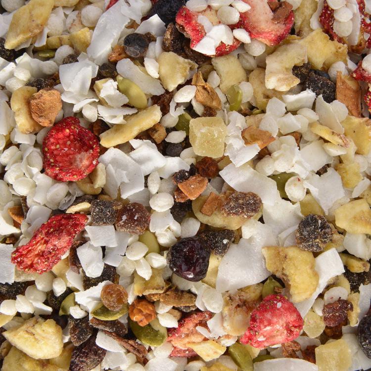 Comilona de Baya – přírodní směs tropického ovoce a bobulí pro papoušky, 500 g od ParrotPlanet.cz