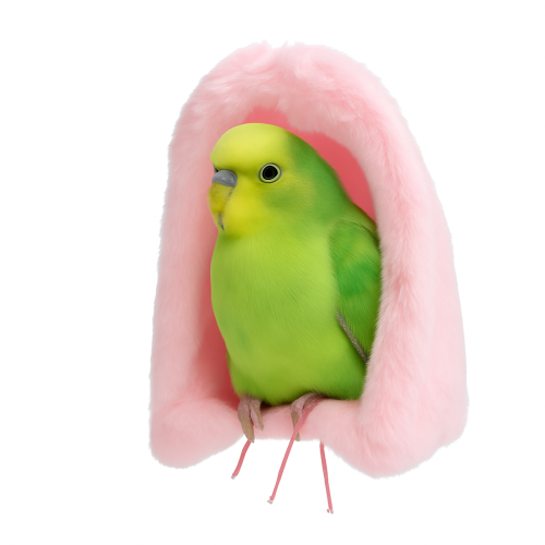 Teplá jeskyňka z fleece - Stan pro střední papoušky Růžový M | Parrot Planet od ParrotPlanet.cz