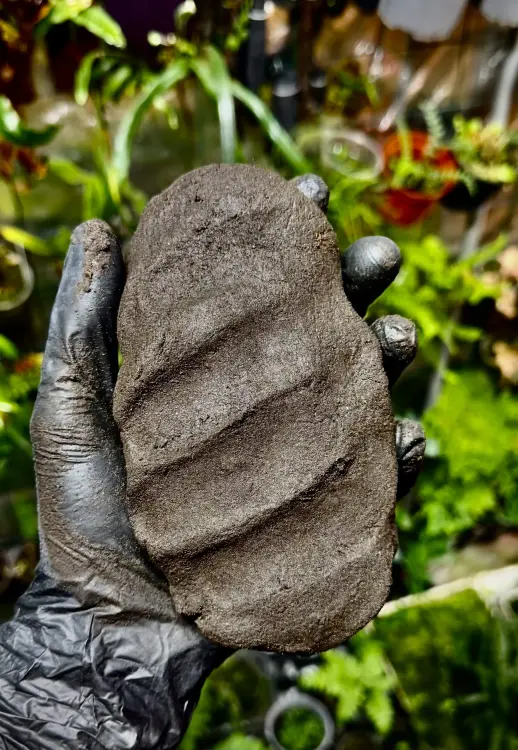 TropicalClay™ 2 kg – přírodní hlína pro stavbu stěn v teráriu | Parrot Planet.cz