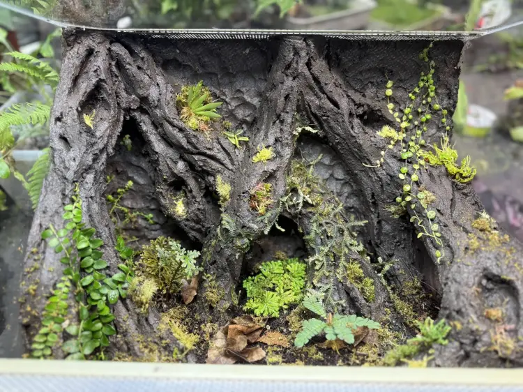 TropicalClay™ 2 kg – přírodní hlína pro stavbu stěn v teráriu | Parrot Planet.cz