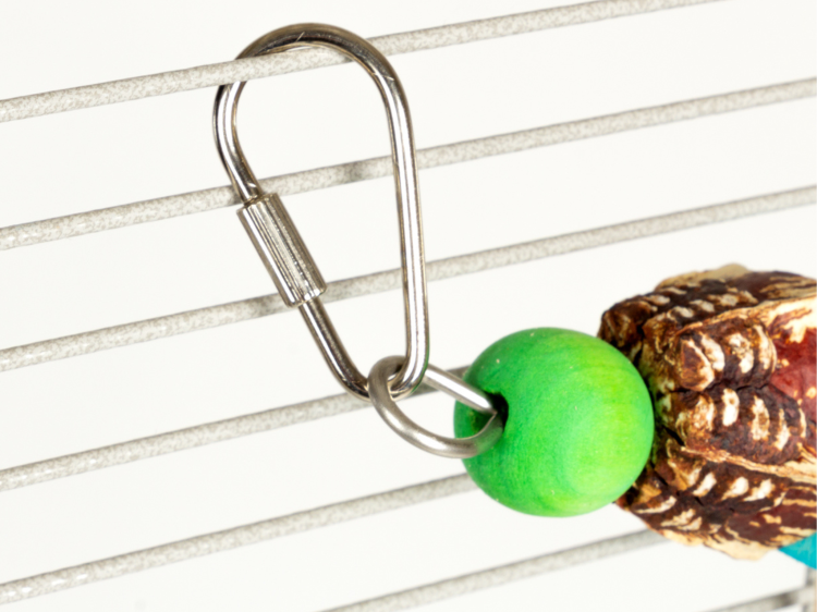 Avian Fun Swing – barevná houpačka z mahagonu a kůže pro malé papoušky a papoušky od ParrotPlanet.cz