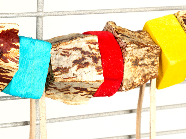 Avian Fun Swing – barevná houpačka z mahagonu a kůže pro malé papoušky a papoušky od ParrotPlanet.cz