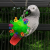 Závěsné dudlíky v míčku L | Kreativní hračka pro velké a střední papoušky | Zelená | Parrot Planet od parrotPlanet.cz