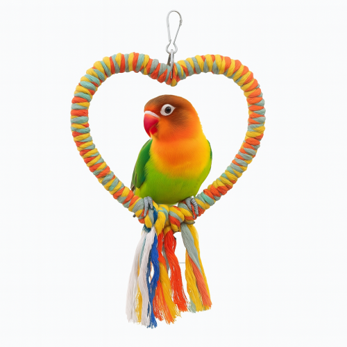Roztomilá houpačka ve tvaru srdce pro malé papoušky | Parrot Planet.cz
