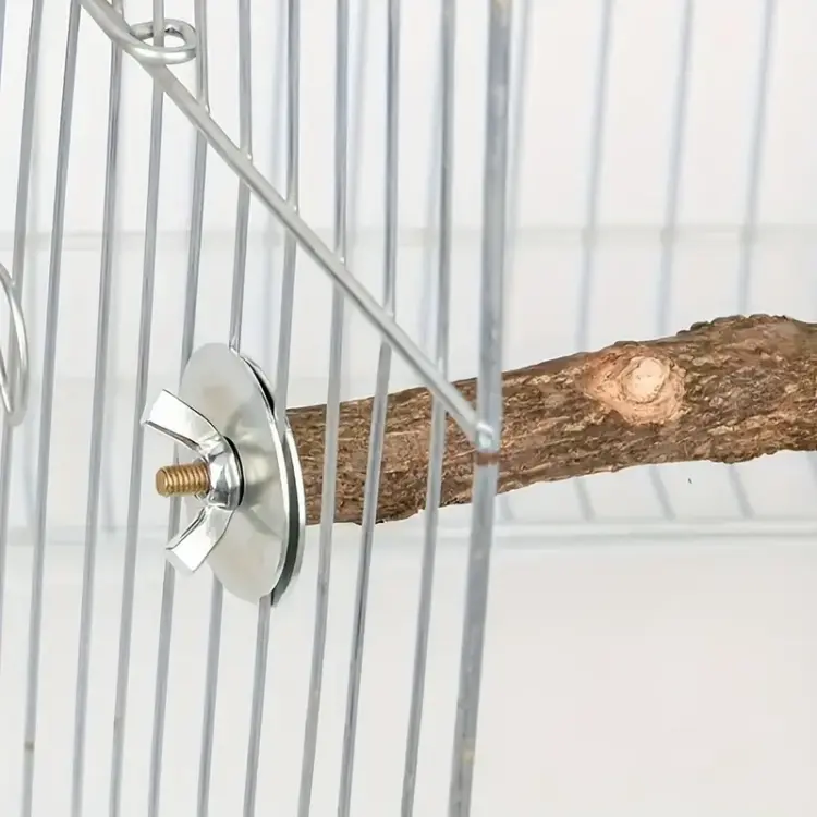 Dvojitá přírodní tyč – pro malé a střední papoušky 25 cm | Parrot Planet od ParrotPlanet.cz