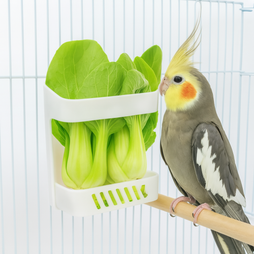 Košík na zeleninu a ovoce s upevněním ke kleci – pro malé a střední papoušky 2 ks od ParrotPlanet.cz