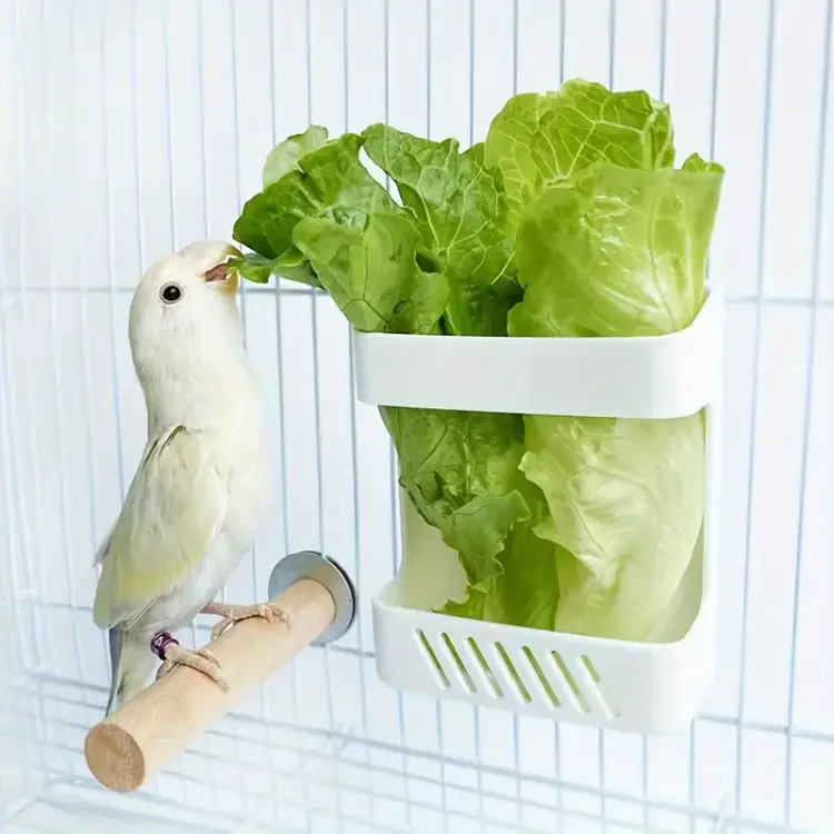 Košík na zeleninu a ovoce s upevněním ke kleci – pro malé a střední papoušky 2 ks od ParrotPlanet.cz