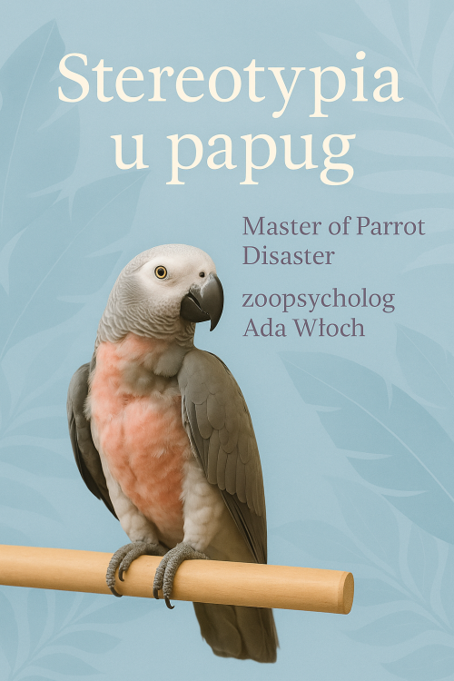 Průvodce ParrotPlanet - STEREOTYPIE - Průvodce pro začínající chovatele papoušků od ParrotPlanet.cz