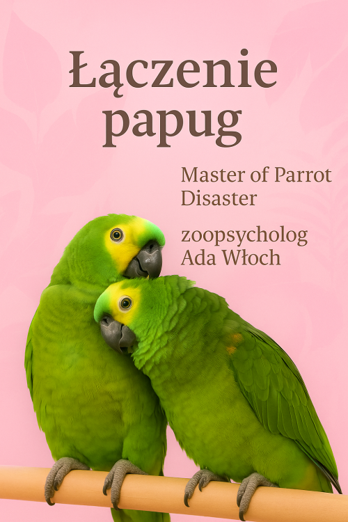 Průvodce ParrotPlanet – Průvodce pro začínající chovatele papoušků – SPOJOVÁNÍ PAPOUŠKŮ od ParrotPlanet.cz