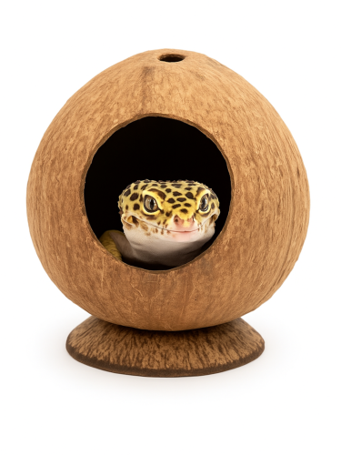 Přírodní kokos s otvory – úkryt a hračka do terária pro plazy od ParrotPlanet.cz