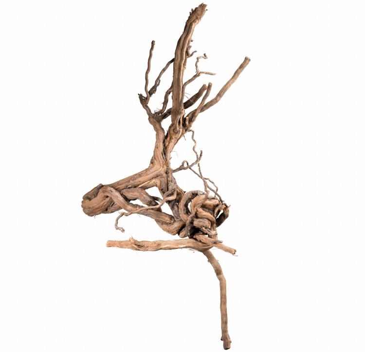 Přírodní kořen vinné révy - EcoVine Roots – přírodní dekorace a prolézačka pro plazy, obojživelníky a pavoukovce od ParrotPlanet.cz