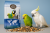 Deli Nature 61 – lehká směs pro velké papoušky 15 kg od ParrotPlanet.cz