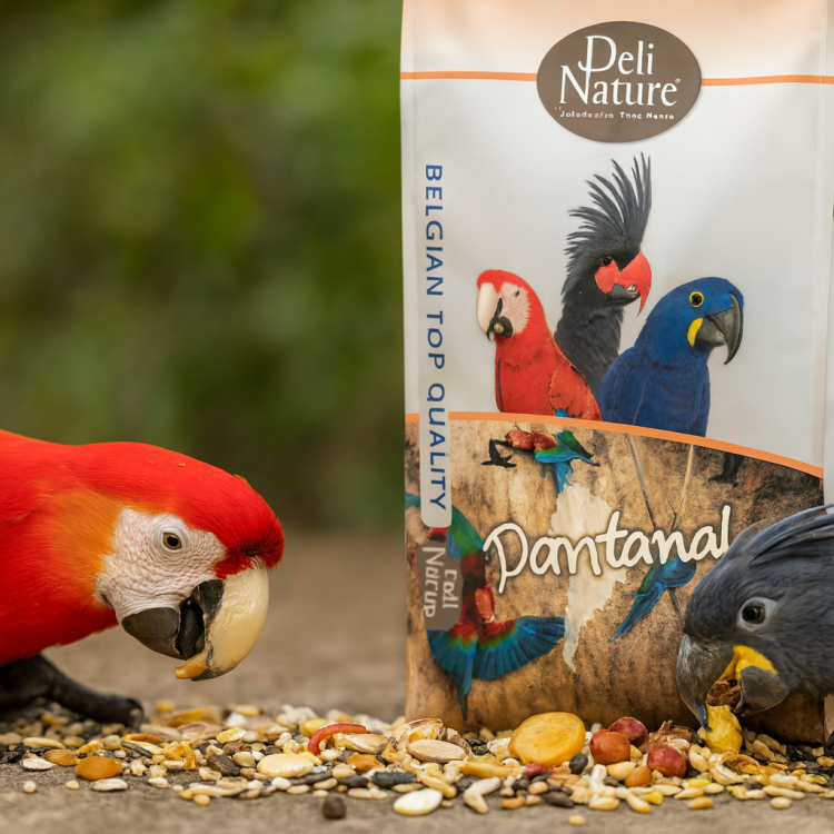 Deli Nature 23 – 5* Menu Pantanal – směs pro ary 2 kg od ParrotPlanet.cz