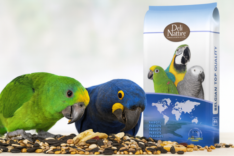 Deli Nature 57 – směs Excellent s 40 % slunečnice pro velké papoušky 15 kg  od ParrotPlanet.cz
