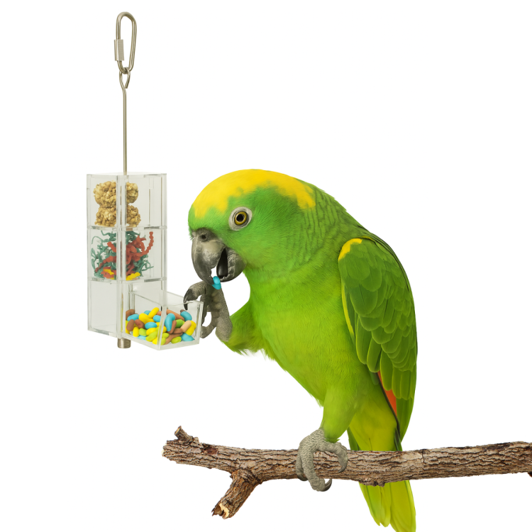 3 zásuvky s krmením – interaktivní hračka pro papoušky od ParrotPlanet.cz