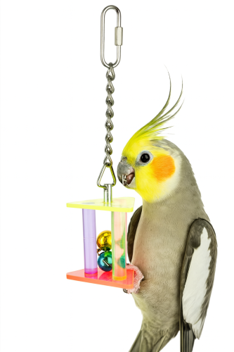Akrylová věž se zvonky – hračka pro střední a malé papoušky od ParrotPlanet.cz