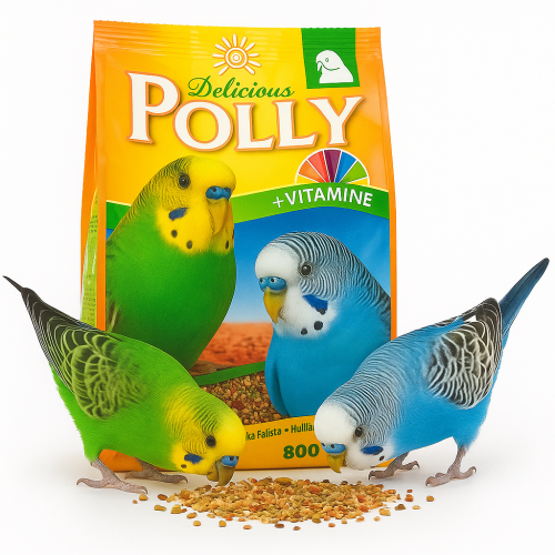 Vitakraft Polly Delicious – Krmivo pro papoušky 800 g od ParrotPlanet.cz