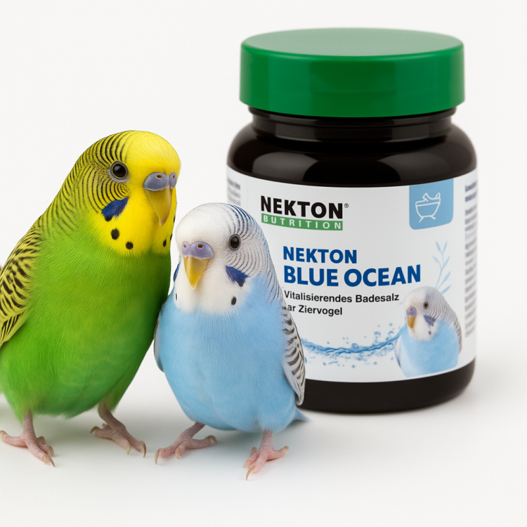 NEKTON-Blue Ocean | Přírodní koupelový přípravek pro papoušky | jemná péče o pokožku a peří 60 g od ParrotPlanet.cz