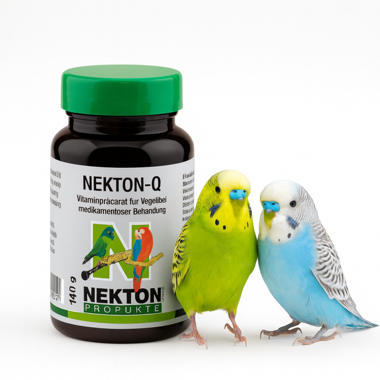 NEKTON-Q Přípravek pro papoušky během léčby nebo nemoci 30 g od ParrotPlanet.cz