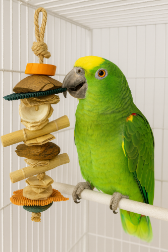 Exotická věž na hraní – přírodní hračka pro papoušky od ParrotPlanet.cz