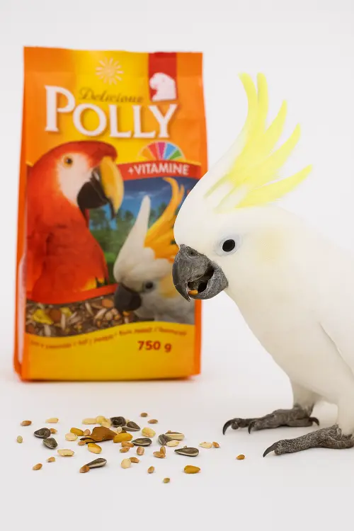 Vitakraft Polly Delicious – Krmivo pro velké papoušky 750 g od ParrotPlanet.cz