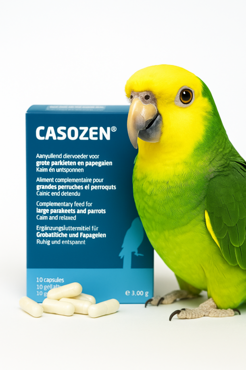 CASOZEN 10 kapslí – Přirozený přípravek proti stresu a vytrhávání peří pro papoušky od ParrotPlanet.cz