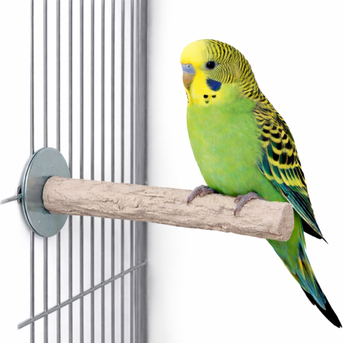 Back Zoo Nature Super Stone Perch – kamenné bidýlko na obrušování drápků a zobáku 12 cm / 18 mm pro malé a střední papoušky od Parrotplanet.cz