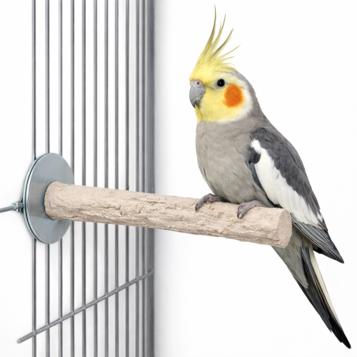 Back Zoo Nature Super Stone Perch 18 cm Ø25 mm – minerální bidýlko do klece pro střední papoušky na obrušování drápků a zobáku od ParrotPlanet.cz