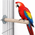 Back Zoo Nature Super Stone Perch 35 cm Ø55 mm – minerální bidýlko do klece pro velké papoušky na obrušování drápků a zobáku od ParrotPlanet.cz