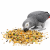 Witte Molen Country Parrots 2 kg – krmivo pro velké papoušky s vitamíny a minerály od ParrotPlanet.cz