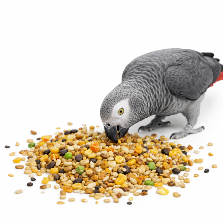 Witte Molen Country Parrots 2 kg – krmivo pro velké papoušky s vitamíny a minerály od ParrotPlanet.cz
