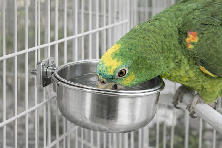 DUVO+ šroubovací miska do klece pro ptáky 9,5 cm 330 ml  od ParrotPlanet.cz